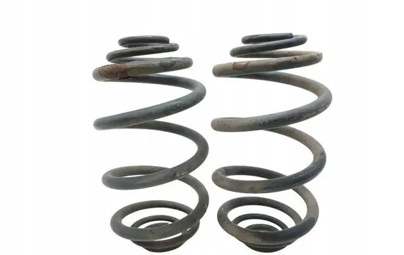 Opel Vivaro Rear coil spring 