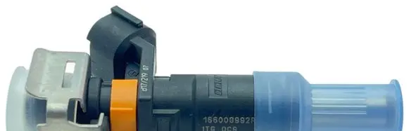 Dacia Duster II Fuel injector 166008992R