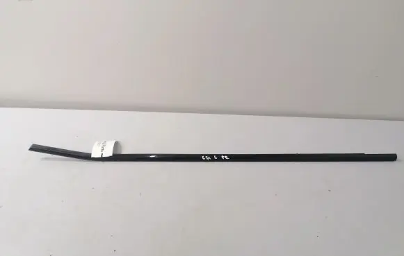 BMW X6 E71 Front door glass trim molding 1234567