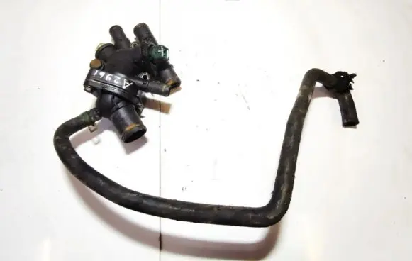 Renault Laguna I Engine coolant pipe/hose