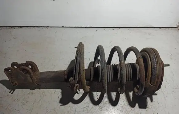 Front shock absorber with coil spring