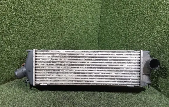 Renault Trafic II (X83) Intercooler radiator 8200411160 992563JB 93854162