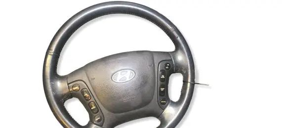 Hyundai Santa Fe Steering wheel 561002B000 PM9AM50
