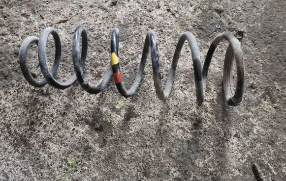 Citroen C8 Rear coil spring