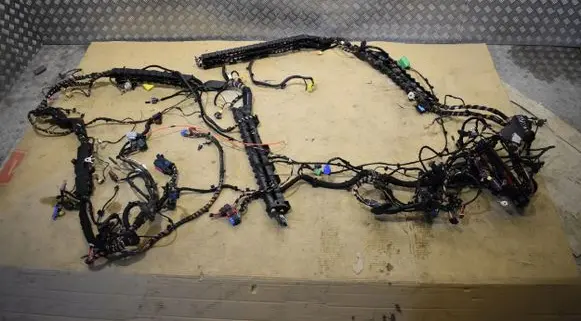Porsche Taycan 9J1 Other wiring loom
