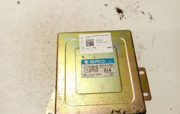 Hyundai Sonata Engine control unit/module 3912038660 9060930123a00