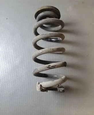 Rear coil spring