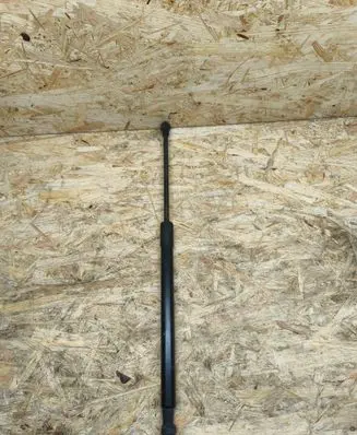 Tailgate strut
