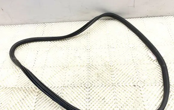 Citroen DS5 Rubber seal front door (on door) 