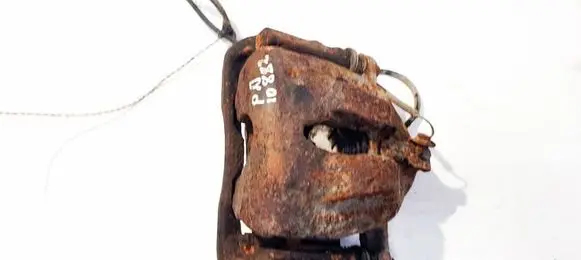 Citroen C8 Front brake caliper 