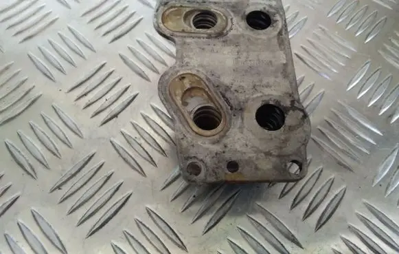 Citroen C4 I Engine oil radiator 1786029 6790859280
