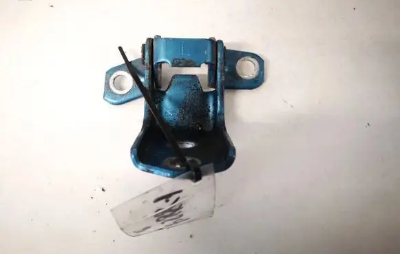 Rear door lower hinge