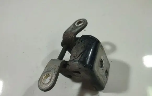 Opel Insignia A Rear door lower hinge