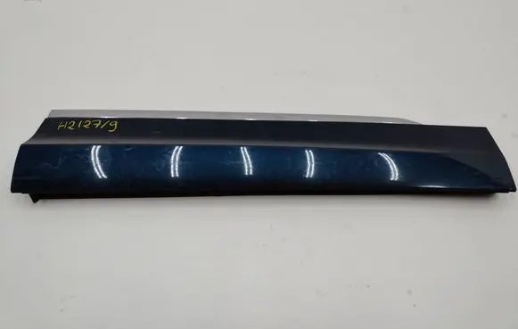 Volkswagen Tiguan Front door trim (molding) 5NA854940AH