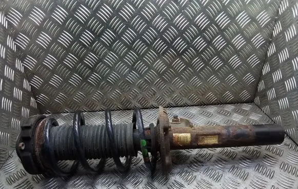 Front shock absorber with coil spring