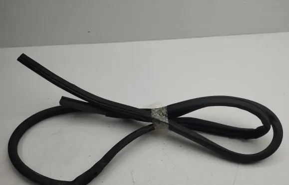 Nissan Qashqai Rubber seal rear door 