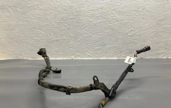 Other wiring loom