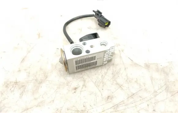 Tesla Model X Air conditioning (A/C) expansion valve 600848100B