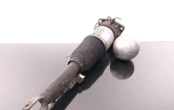 Volkswagen Phaeton Shock absorber/damper/air suspension 3D0616002G