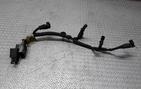 Peugeot 407 Glow plug wires 