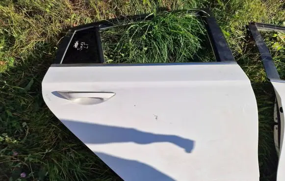 Hyundai Ioniq Rear door 77004G2010