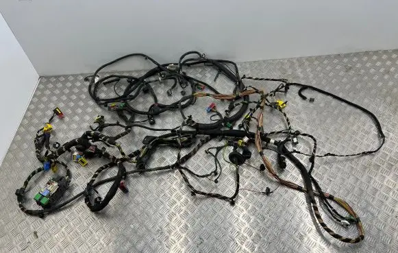 Citroen Jumpy Other wiring loom 00329674 12030201KO 7G24A206