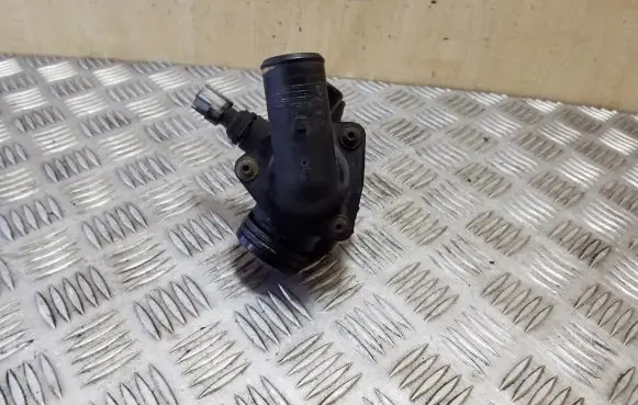 Thermostat/thermostat housing