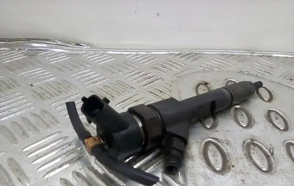 Renault Megane II Fuel injector 8200100272 0445110