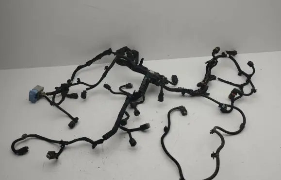 Engine installation wiring loom