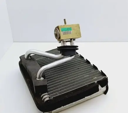 Fiat Punto (188) Air conditioning (A/C) radiator (interior) 