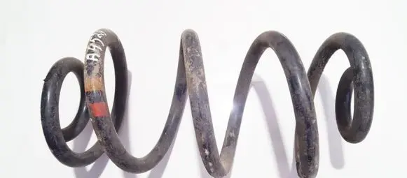 Nissan Qashqai Rear coil spring