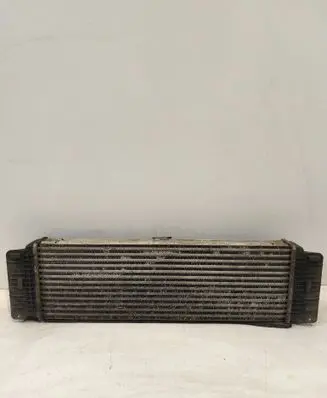 Volkswagen Crafter Intercooler radiator A9065010201 2E0145804A 6819171
