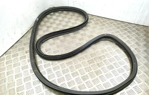 Peugeot 508 II Front door rubber seal 9813387280
