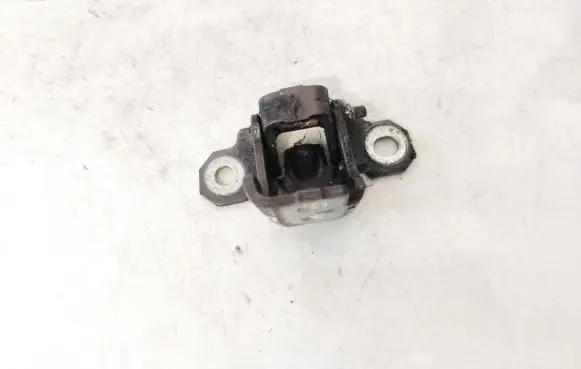 Renault Scenic III - Grand scenic III Rear door lower hinge
