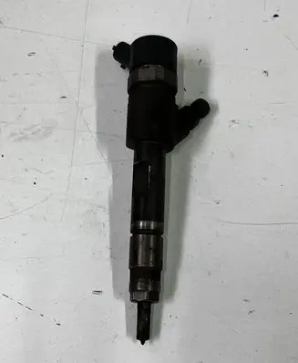 Renault Megane II Fuel injector 0445110280 H82606383