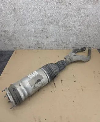 Land Rover Range Rover Sport L494 Front air suspension shock absorber DPLA3C285BF 990002502515