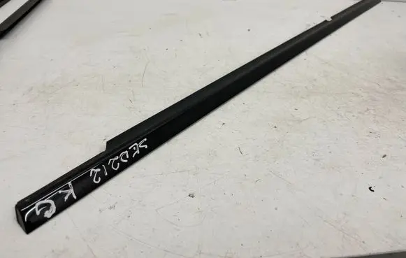 Rear door trim (molding)