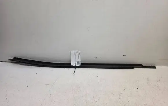Volvo S80 Front door glass trim molding 8643197