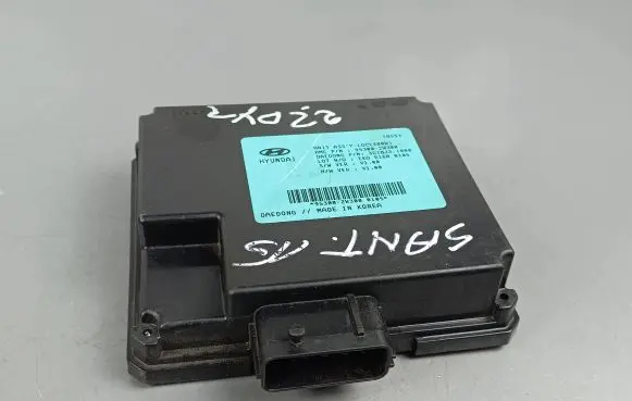 Hyundai Santa Fe Other control units/modules 95002W300
