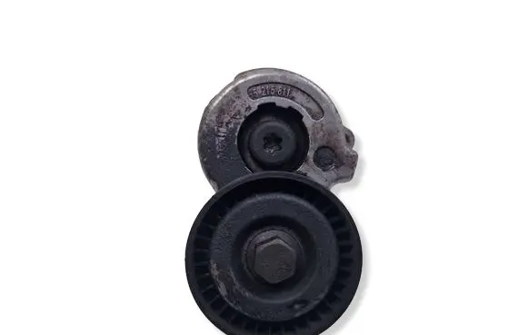 Jeep Renegade Generator/alternator belt tensioner 55215811