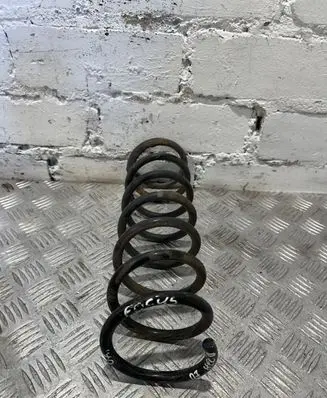 Ford Focus Rear coil spring