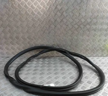 Citroen Jumpy Rubber seal front door (on door) 9806514880