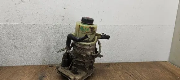 Renault Trafic III (X82) Power steering pump 491100616R