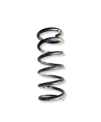 Ford Fusion II Rear coil spring DG9C5560GNF