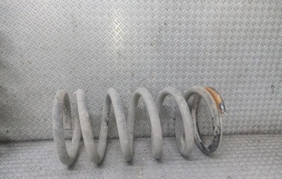 Hyundai Santa Fe Rear coil spring