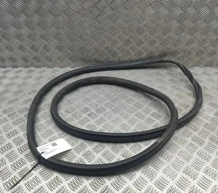 Peugeot 308 Rubber seal front coupe door 9677519680