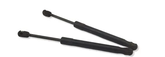 Ford Mustang V Tailgate/trunk strut/damper 