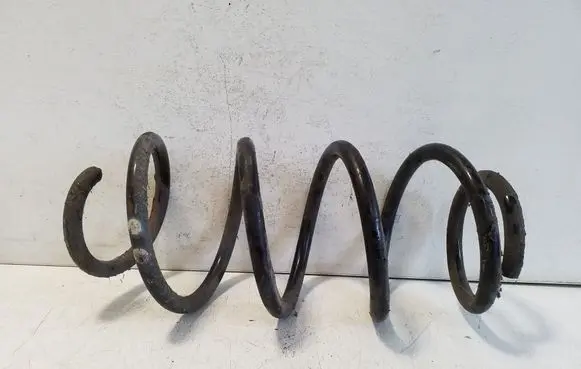 Front coil spring