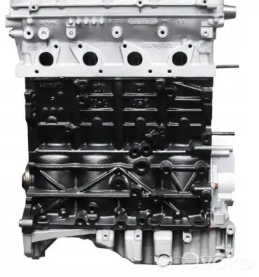 Volkswagen Golf Plus Engine block BKD