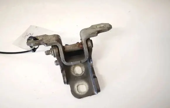 Renault Laguna III Rear door lower hinge